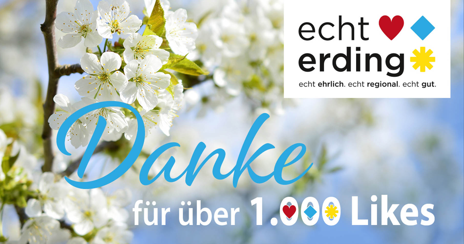 1000-Likes auf Facebook