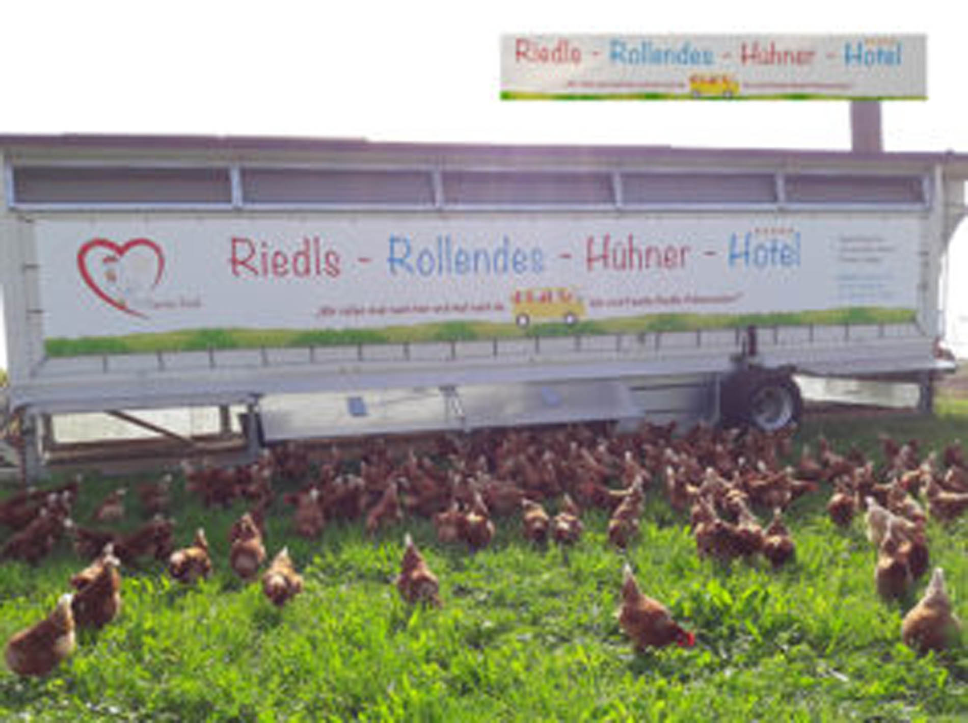 riedls-rollendes-huehner-hotel-banner